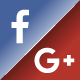 Facebook And Google Reviews System For Businesses