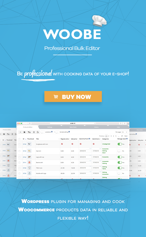 WooCommerce Bulk Editor Professional and Products Manager