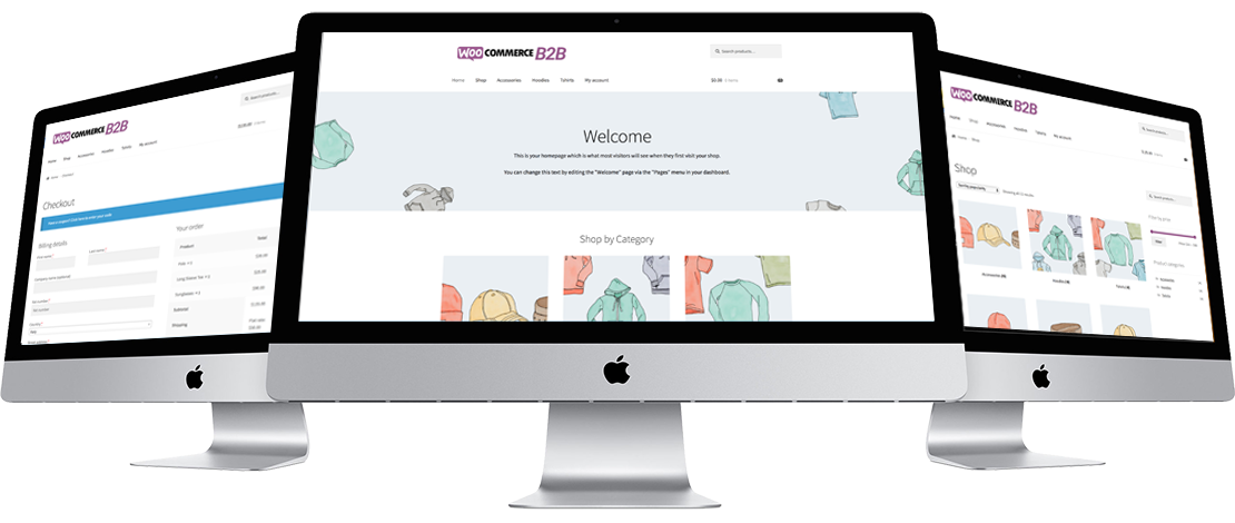 WooCommerce B2B Sales Agents - Demo