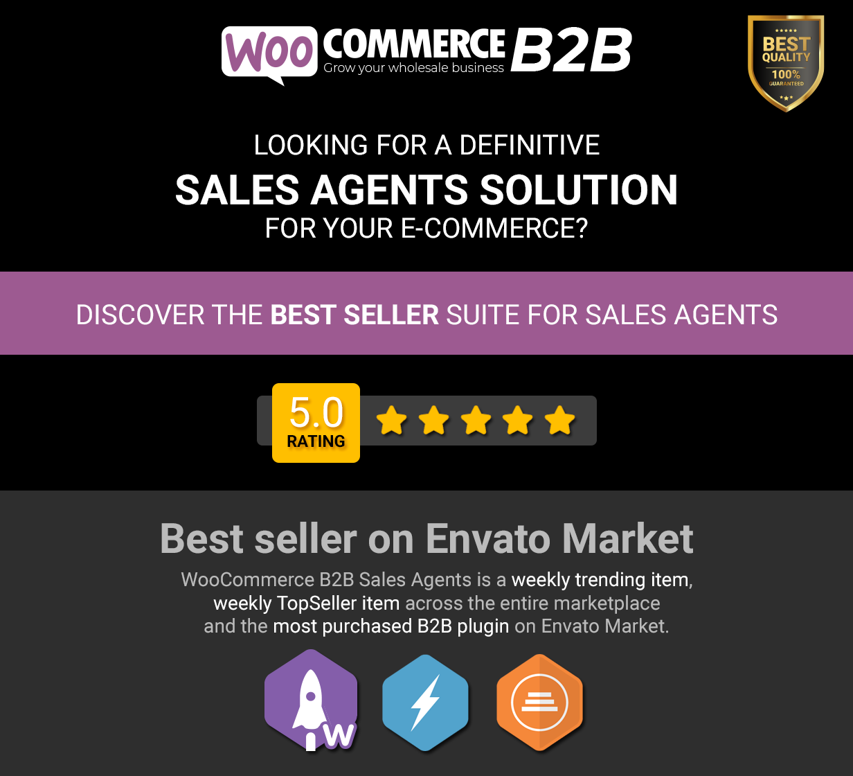 WooCommerce B2B Sales Agents - Intro