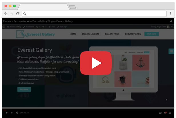 Everest Gallery - Responsive WordPress Gallery Plugin - 10