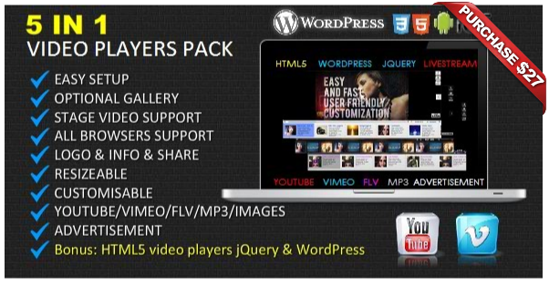 Ultimate Player with YouTube, Vimeo, Ads WP Plugin - 16