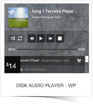 Disk Audio Player For WordPress - 2