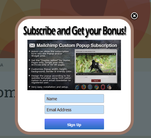 Mailchimp Custom Popup Subscription for wordpress - 13
