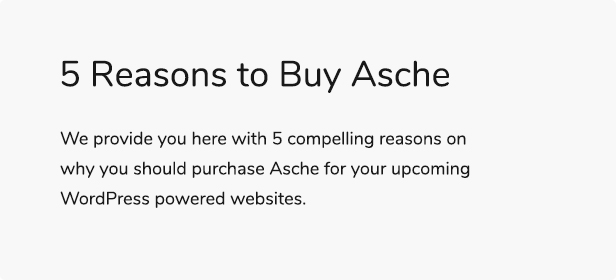 Asche - Complete Coming Soon and Maintenance Mode Plugin - 5