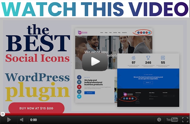 AccessPress Social Icons Pro - 2