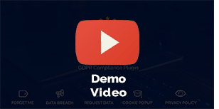 Demo Video