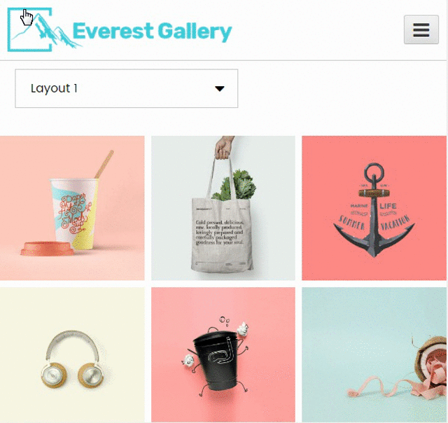 Everest Gallery - Responsive WordPress Gallery Plugin - 7