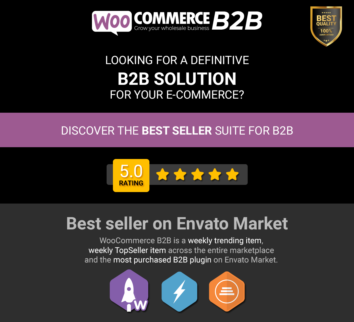 WooCommerce B2B - Intro