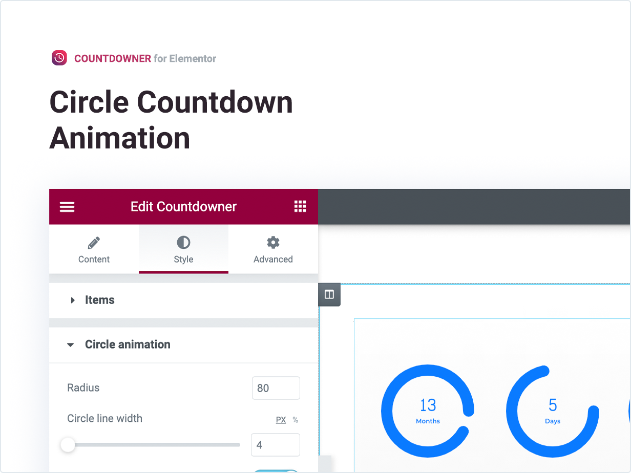 Circle Countdown Animation