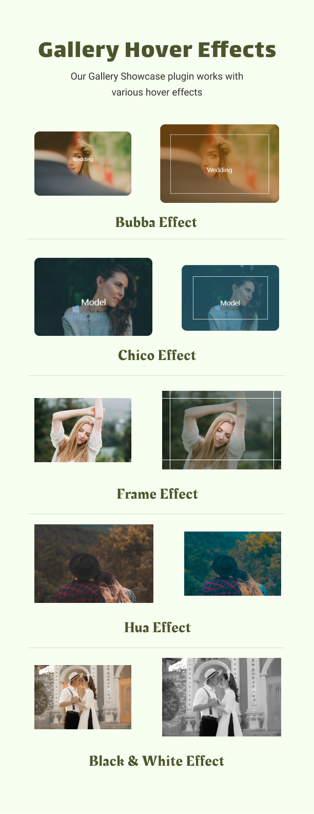 Gallery Hover Effects - Gallery Showcase Pro for WordPress