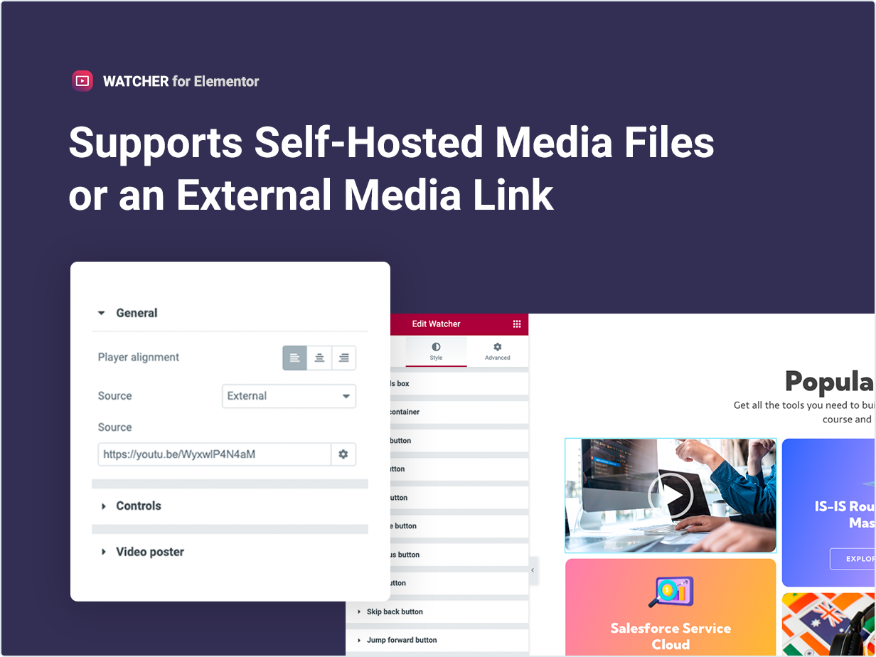 Supports self-hosted media files or an external media link
